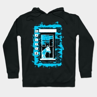 horse in the window galena Hoodie